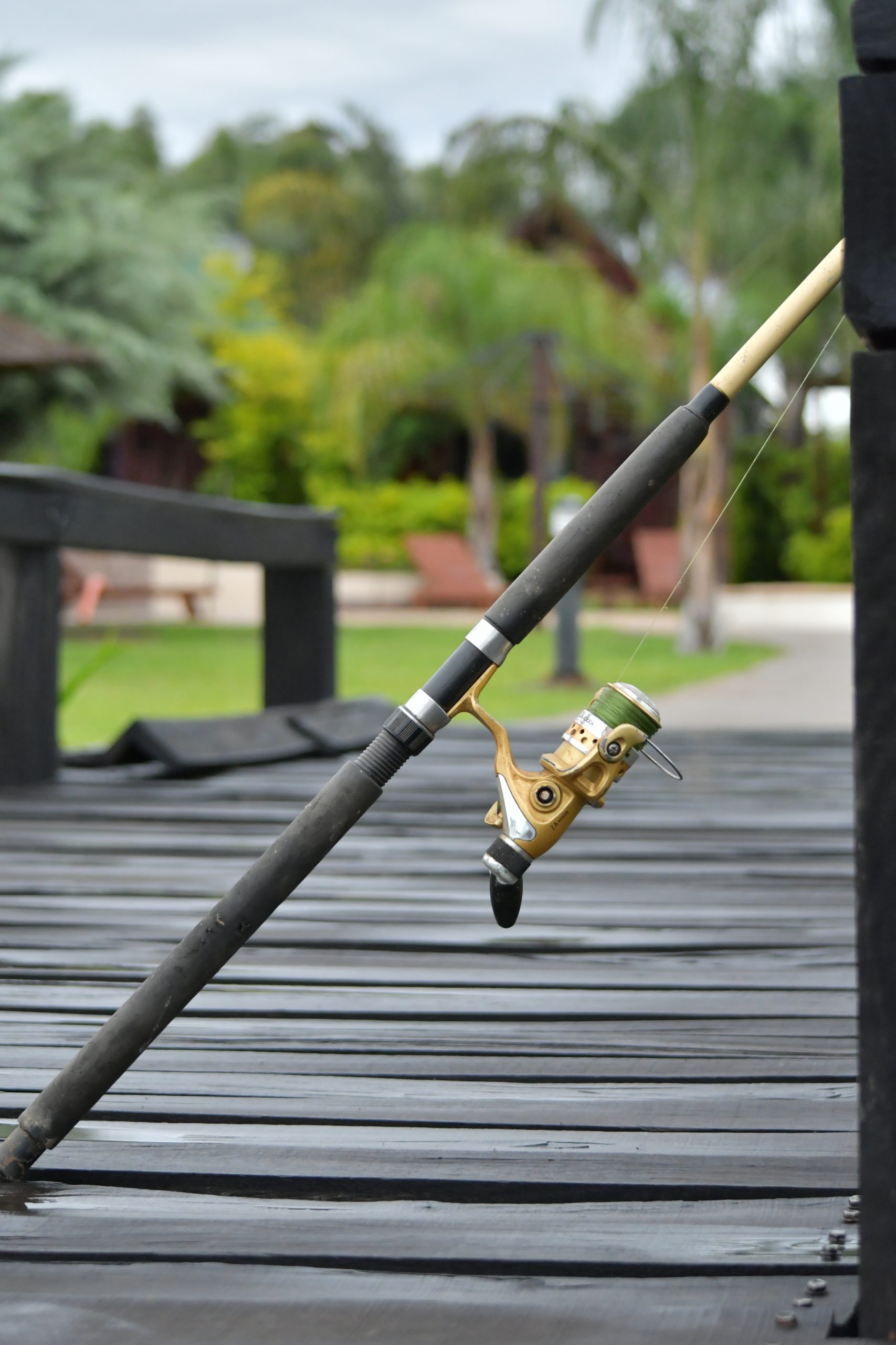 Puertas del sol Federación